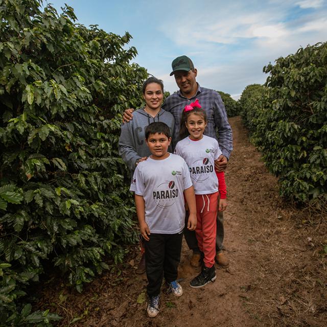 familie af kaffebønder står i kaffeplantage i paraíso 