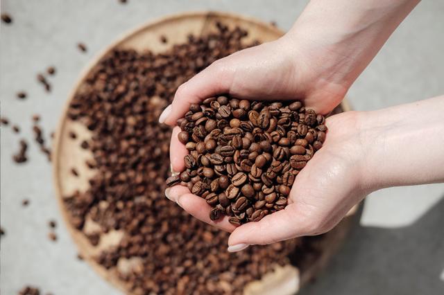 BKI whole beans collected in hands 